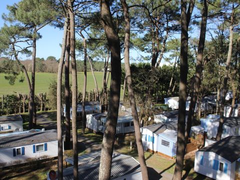 Camping L'Orée des Pins - Camping Vendée - Image N°13