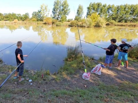 Camping Villa Campista - Camping Vandea - Image N°22