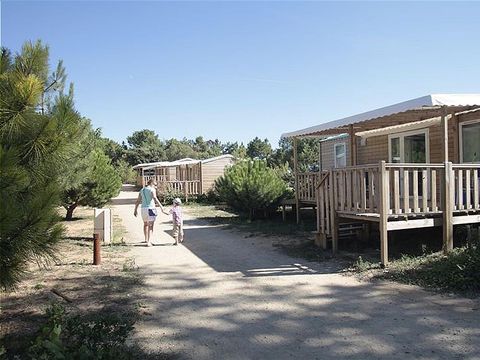 Domaine Résidentiel de Plein Air Les Demoiselles - Camping Vendée - Image N°25