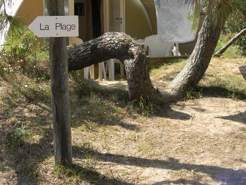 HÉBERGEMENT INSOLITE 4 personnes - Coco sweet- Kon Tiki - 2 chambres - 16m² 4 pers
