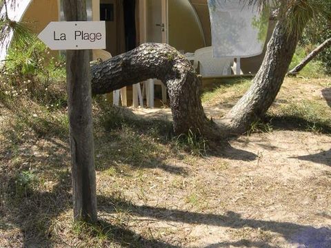 Unique 4 personnes - COCO SWEET Kon Tiki