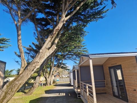 MOBILHOME 4 personnes - MH Savana Lodge - 2 chambres - 24m² 4 pers