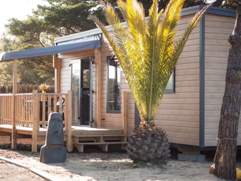 MOBILHOME 4 personnes - Mobil-home Timoé Lodge - 2 chambres - 29.50m² 4 pers