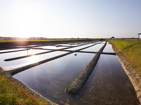 Camping Kabana Village - Camping Vendée - Image N°29