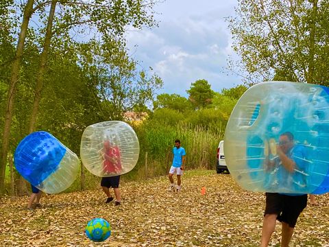Camping Les Alizés  - Camping Vendée - Image N°37