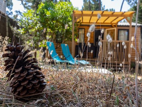 MOBILHOME 6 personnes - MH Modulo DUO BOIS 2 chambres 29 m² avec terrasse bois couverte et terrasse bois solarium