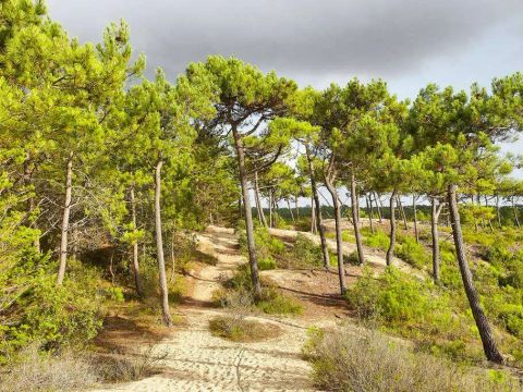 Camping Ushuaïa Villages La Conge - Camping Vendée - Image N°64