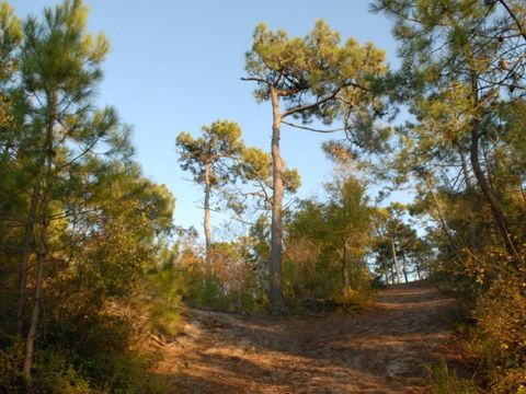 Camping Ushuaïa Villages La Conge - Camping Vendée - Image N°36