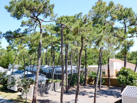 Camping Ushuaïa Villages La Conge - Camping Vendée - Image N°22