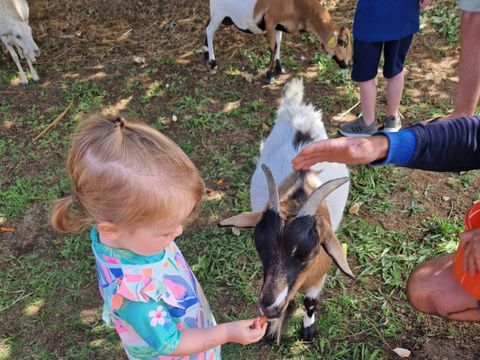 Camping Ushuaïa Villages La Conge - Camping Vendée - Image N°43