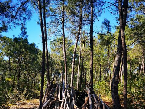 Camping Ushuaïa Villages La Conge - Camping Vendée - Image N°44