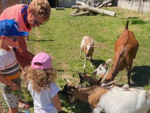 Camping Ushuaïa Villages La Conge - Camping Vendée - Image N°34