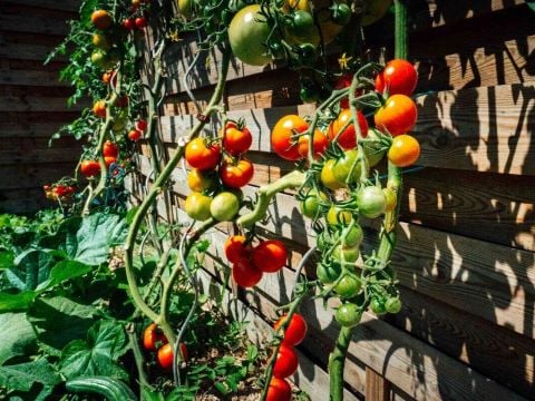 Camping Ushuaïa Villages La Conge - Camping Vendée