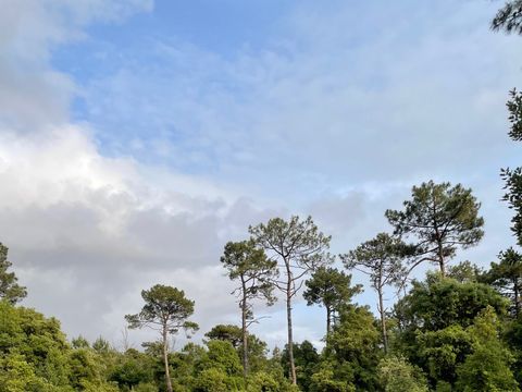 Camping Ushuaïa Villages La Conge - Camping Vendée - Image N°45