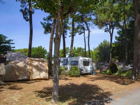 Camping Ushuaïa Villages La Conge - Camping Vendée - Image N°49