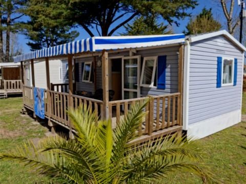 MOBILHOME 6 personnes - Mobil Home 3 chambres 6 Pers Tribu