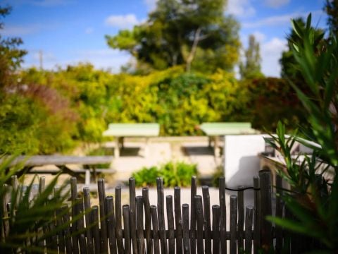 Camping L'Abri des Pins - Camping Vendée - Image N°19