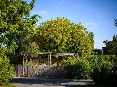 Camping L'Abri des Pins - Camping Vendée - Image N°18