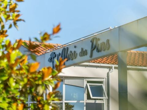 Camping L'Abri des Pins - Camping Vendée - Image N°2