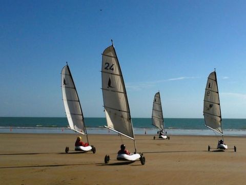 Camping L'Abri des Pins - Camping Vendée - Image N°25