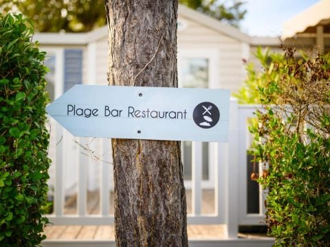 Camping L'Abri des Pins - Camping Vendée - Image N°12