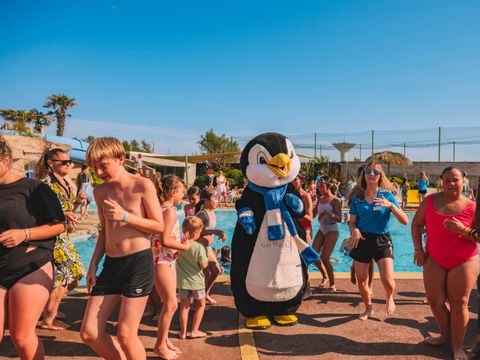 Tours Opérateurs sur Camping Acapulco - Camping Vendée