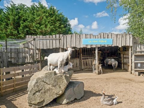 Camping La Grand Métairie - Camping Paradis - Camping Vendée - Afbeelding N°4