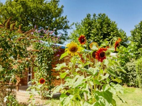 MOBILHOME 4 personnes - COTTAGE CONFORT