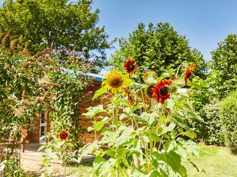 MOBILHOME 6 personnes - COTTAGE CONFORT