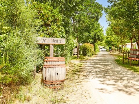 Camping La Grand Métairie - Camping Paradis - Camping Vendée - Image N°32