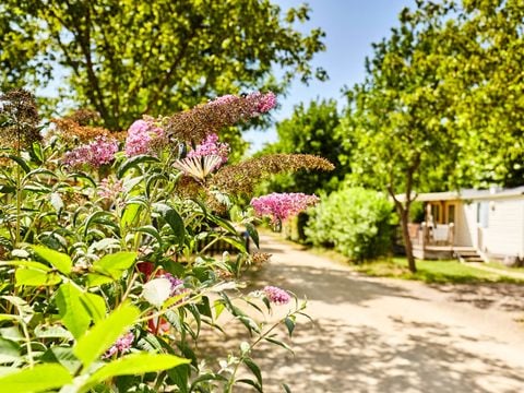 Camping La Grand Métairie - Camping Paradis - Camping Vendée - Image N°29