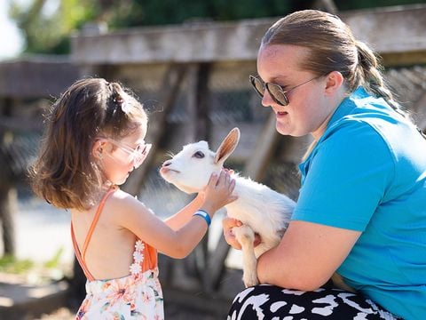 Camping La Grand Métairie - Camping Paradis - Camping Vendée - Image N°5