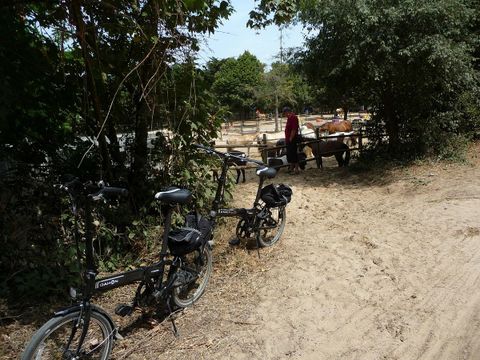 Camping la Forêt - Camping Vendée - Image N°20