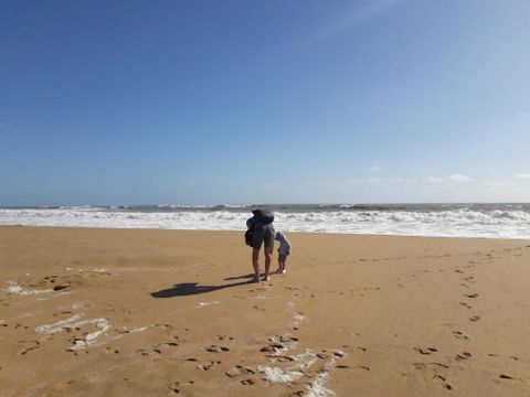 Camping la Forêt - Camping Vendée - Image N°36