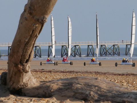 Camping la Forêt - Camping Vendée - Image N°18