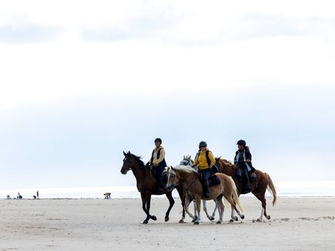 Flower Camping La Davière Plage - Camping Vendée - Image N°87