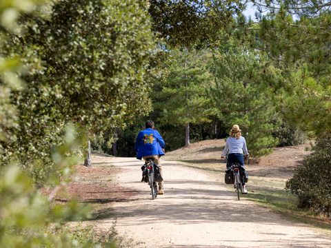 Flower Camping La Davière Plage - Camping Vendée - Image N°97