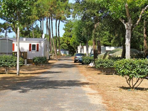 Camping Côté Plage - Camping Vendée - Image N°23