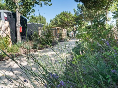 Camping Côté Plage Camping Côté Plage - Camping Vendée - Image N°22