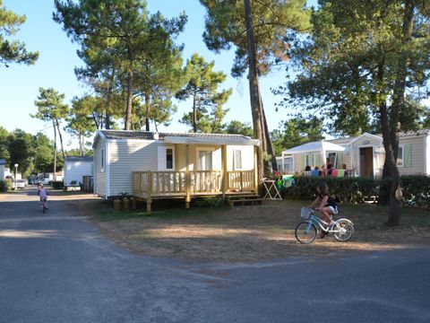 MOBILHOME 4 personnes - CALIFORNIA DUO TV 2 chambres - TV Terrasse 1/4 pers