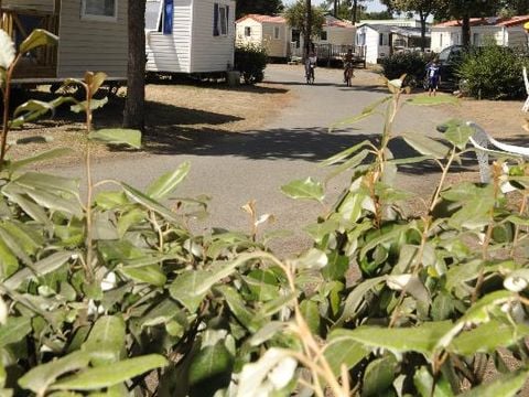 Mobilhome 1/4 personnes - Classique - 2 chambres - Avec terrasse