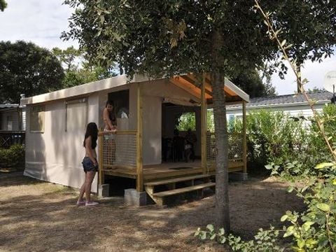 Tente en toile et en bois 1/4 personnes - ECOLODGE - SAHARI - 2 chambres - Sans sanitaire
