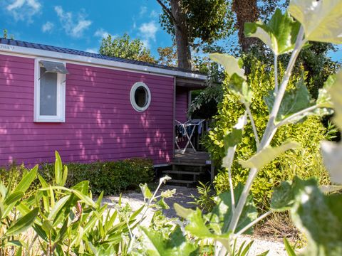 Mobilhome 4 personnes - GOYAVE -25 m² - 2 chambres- terrasse intégrée