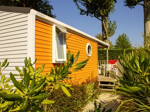 Mobilhome 4 personnes - GOYAVE -25 m² - 2 chambres- terrasse intégrée