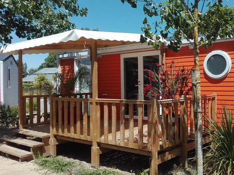 MOBILHOME 5 personnes - Cottage PITAYA - 28m² - terrasse bois semi-couverte - 2 chambres 4/5 pers