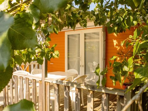 MOBILHOME 5 personnes - Cottage PITAYA - 28m² - terrasse bois semi-couverte - 2 chambres 4/5 pers