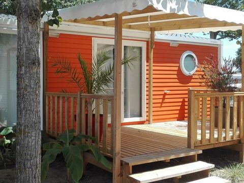 MOBILHOME 5 personnes - Cottage PITAYA - 28m² - terrasse bois semi-couverte - 2 chambres 4/5 pers