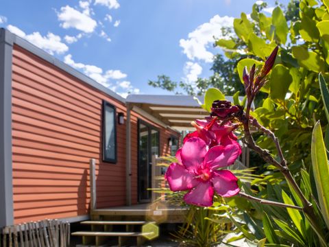 Mobilhome 6 personnes - PAPAYE - 3 chambres - 33 m² - terrasse semi-couverte de 15 m²