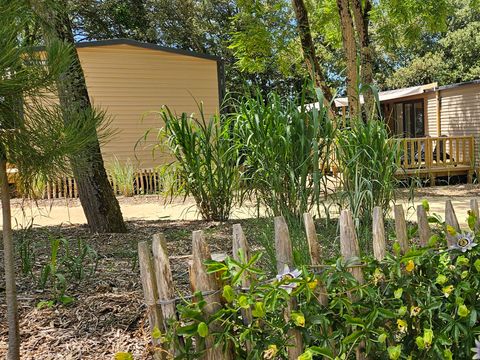 Mobilhome 4 personnes - PREMIUM "TERRE et DUNE" - 32m² - terrasse couverte 19 M²- 2 chambres - Nouveauté 2024