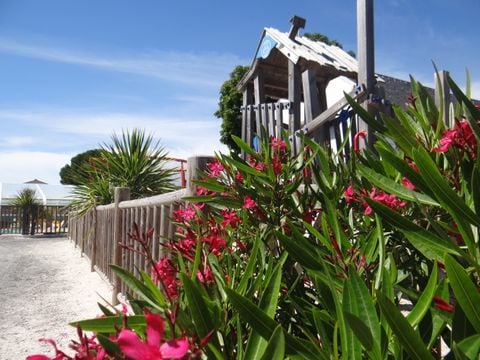Camping Le Bois Verdon - Camping Vendée - Image N°12